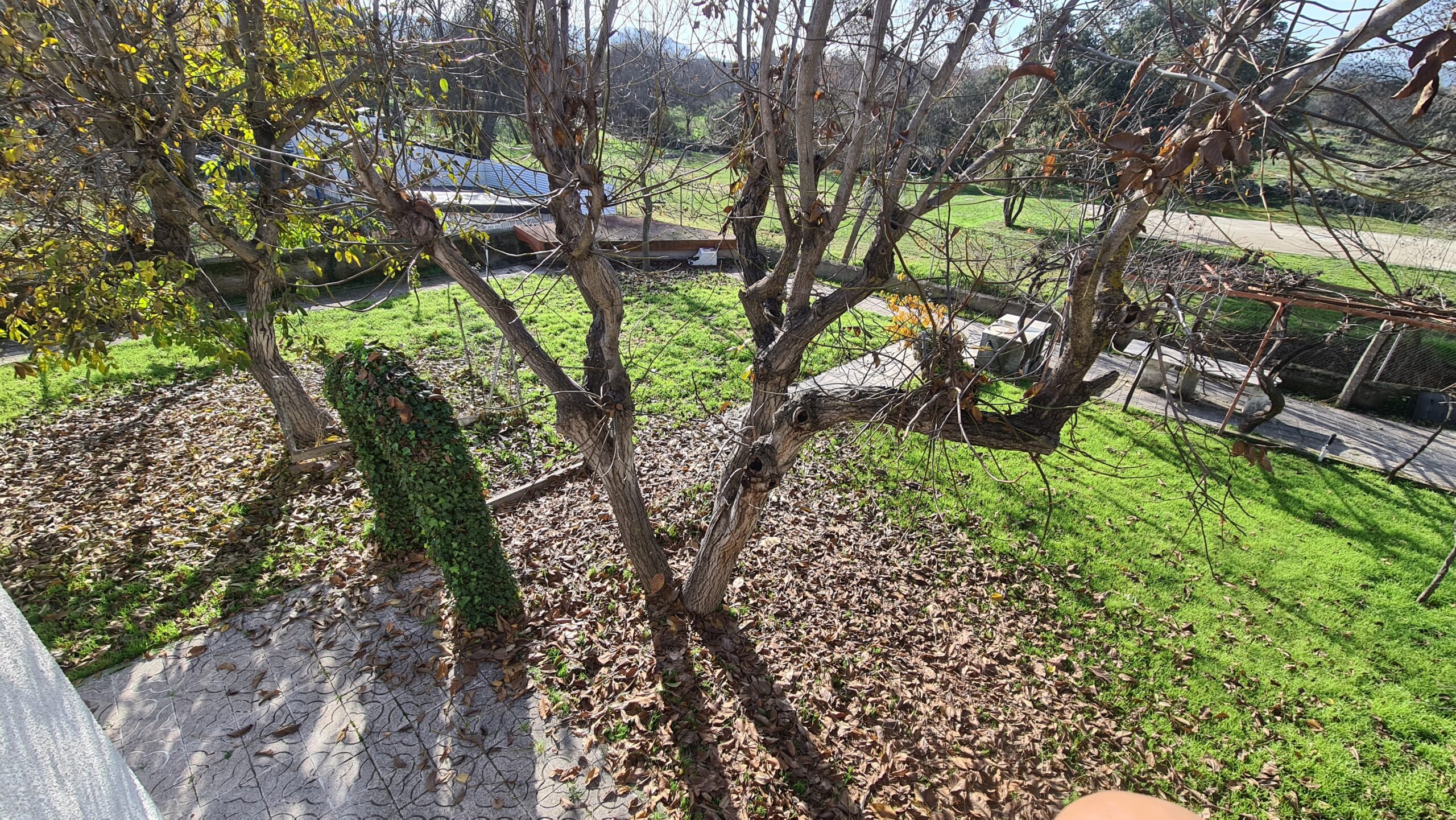 Ref 1515 Independiente en Cerceda (Disponible) - Imagen 46